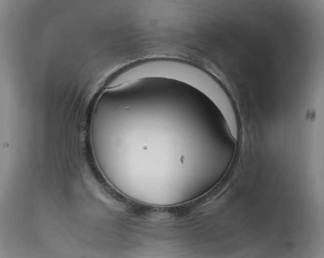 X0000111780203200908131356