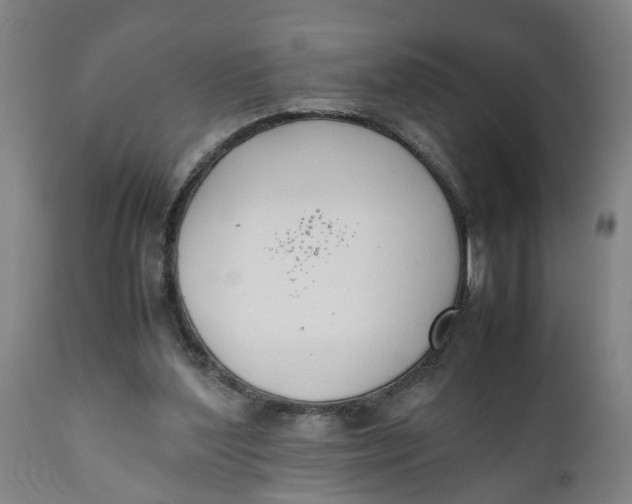 X0000111780204200908131356