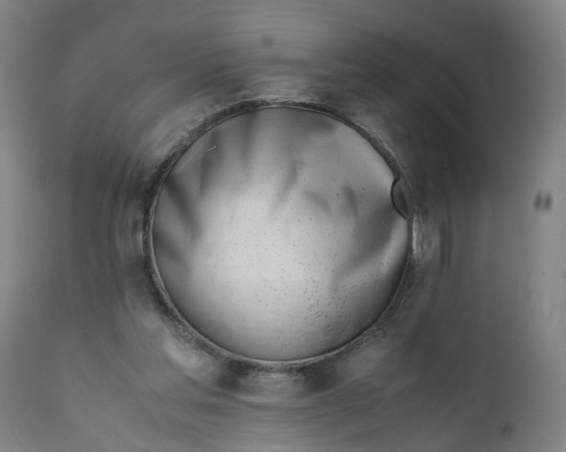 X0000111780205200908131356