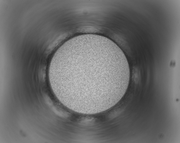 X0000111780206200908131356