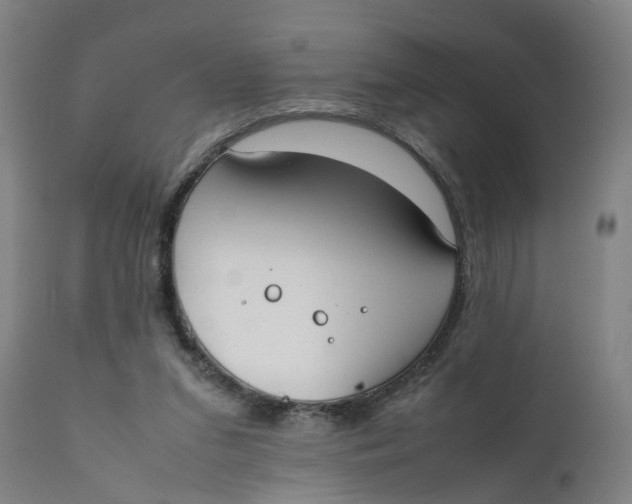 X0000111780207200908131356