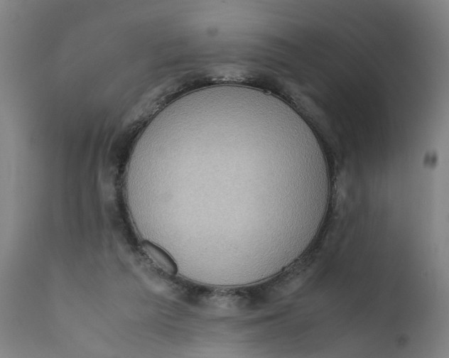 X0000111780209200908131356