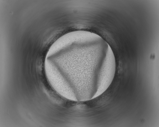 X0000111780210200908131356
