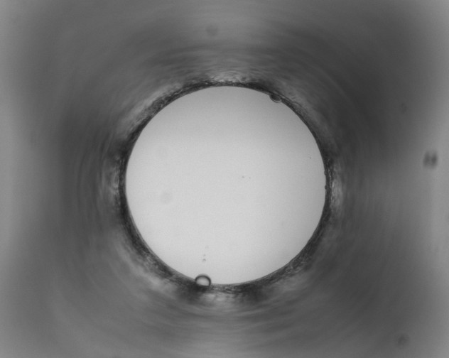 X0000111780211200908131356