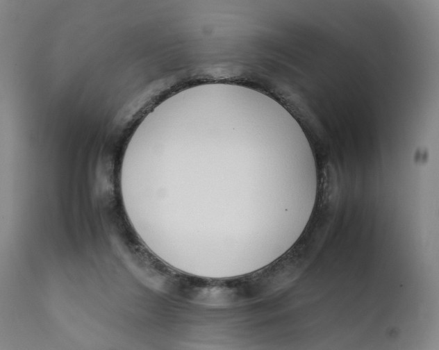 X0000111780212200908131356
