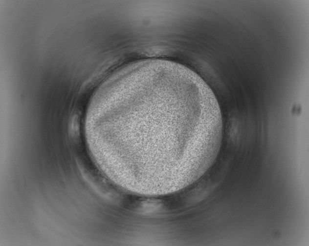 X0000111780214200908131356