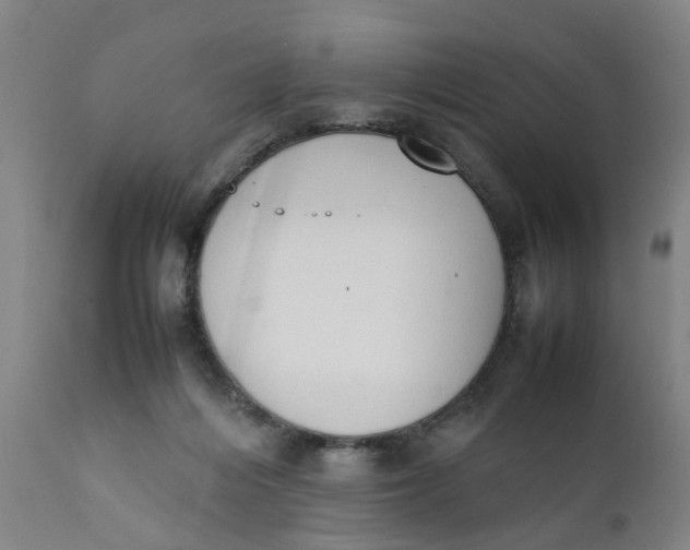 X0000111780216200908131356