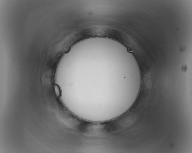 X0000111780217200908131356