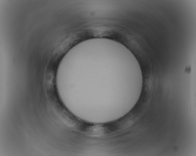 X0000111780219200908131356