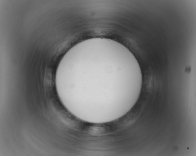 X0000111780220200908131356