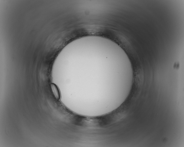 X0000111780221200908131356