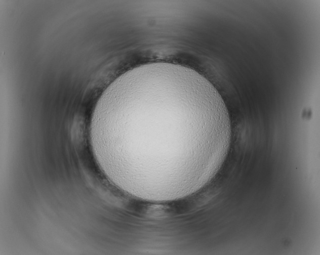 X0000111780222200908131356