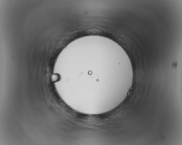 X0000111780223200908131356