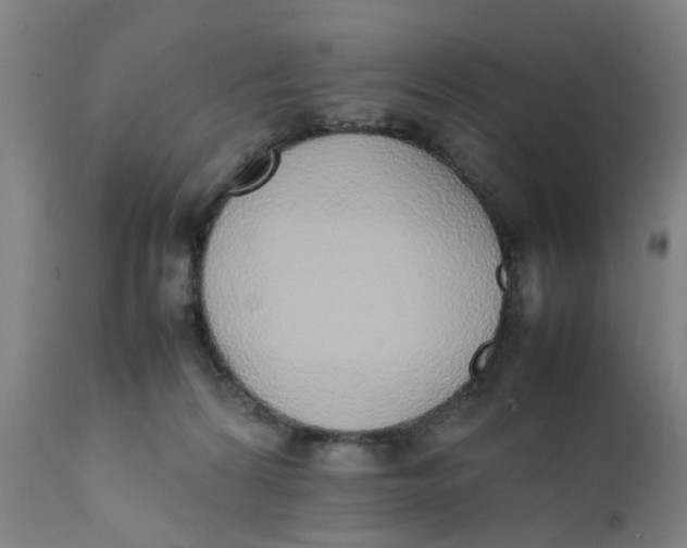 X0000111780224200908131356