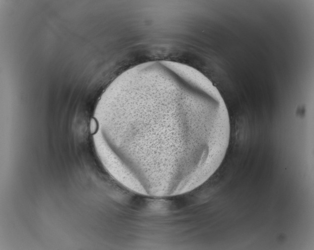 X0000111780226200908131356