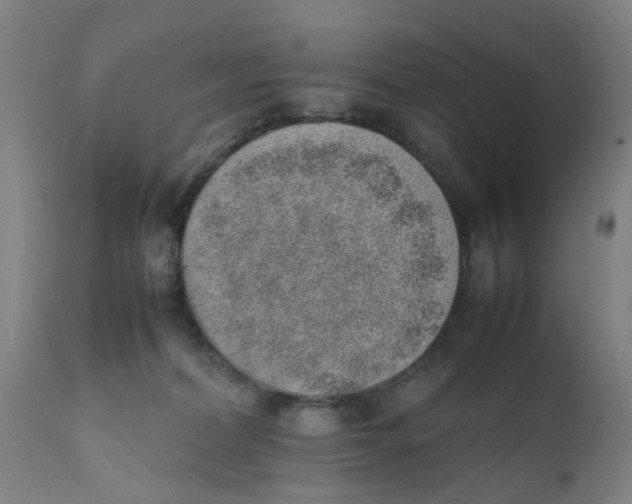 X0000111780228200908131356