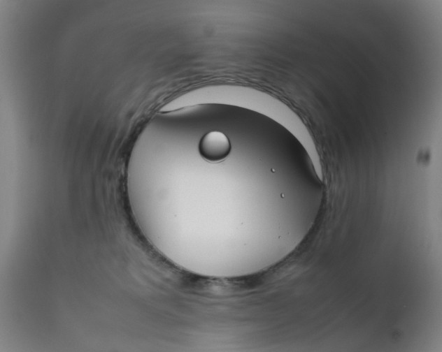 X0000111780229200908131356