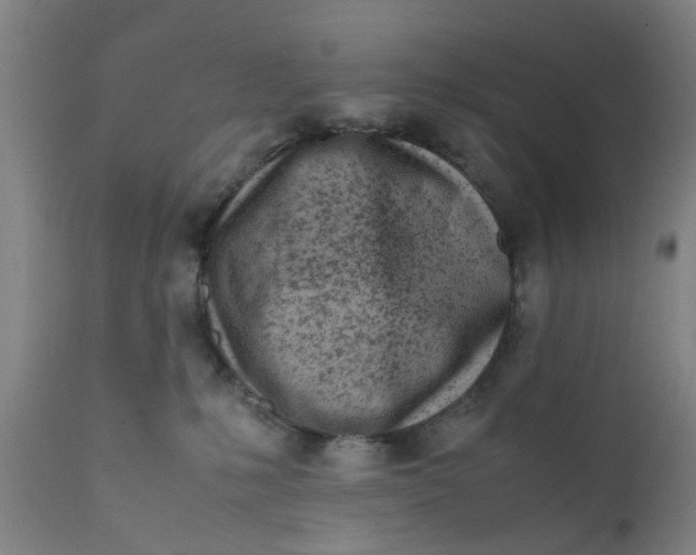 X0000111780231200908131356