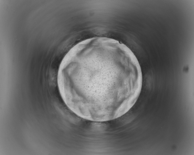 X0000111780234200908131356