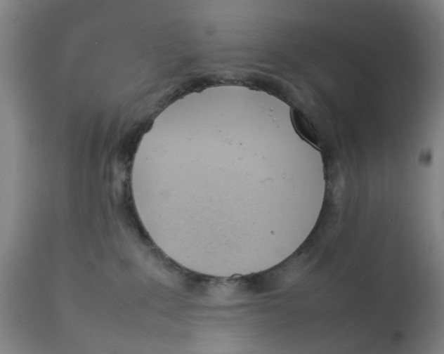 X0000111780235200908131356