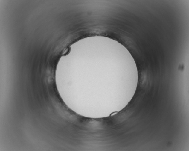X0000111780236200908131356