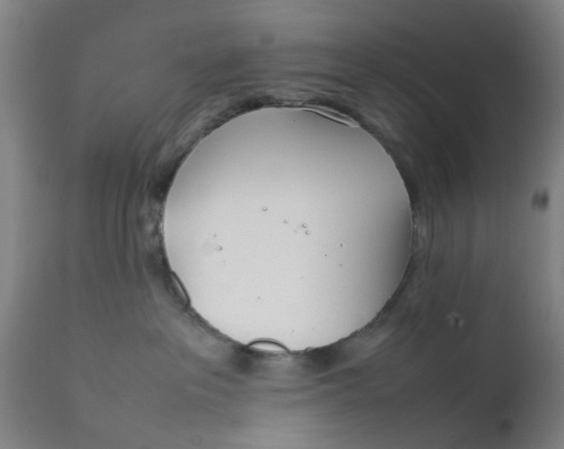 X0000111780237200908131356