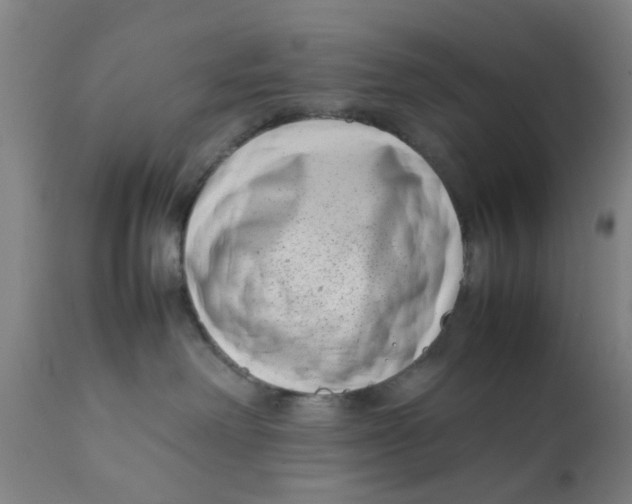 X0000111780238200908131356