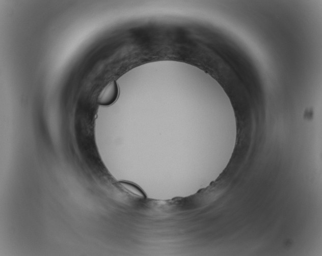 X0000111780239200908131356