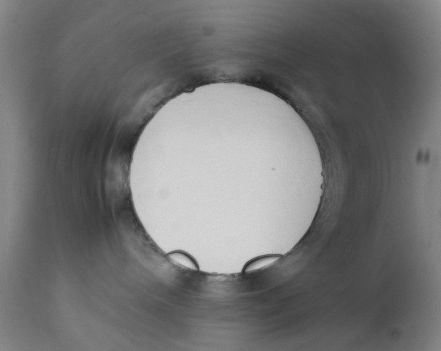 X0000111780240200908131356