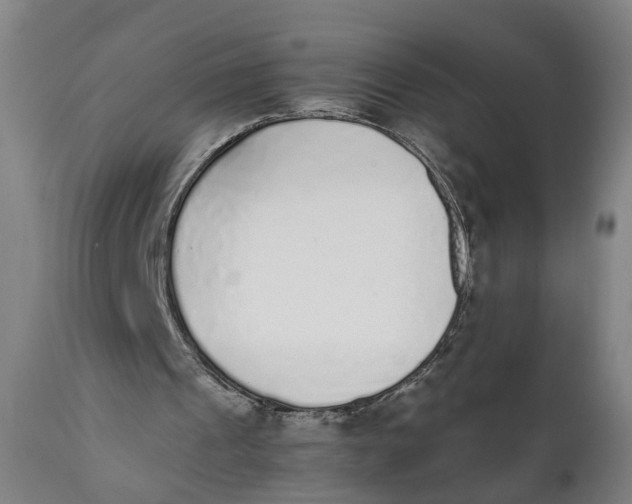 X0000111780241200908131355