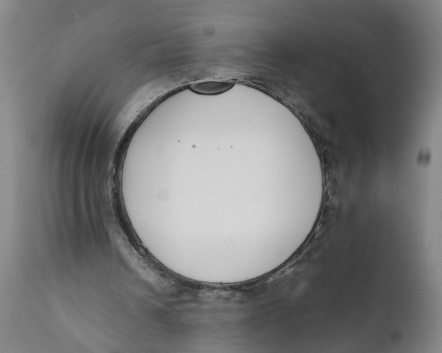 X0000111780242200908131355