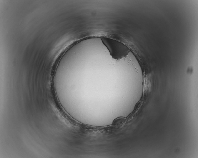 X0000111780243200908131355