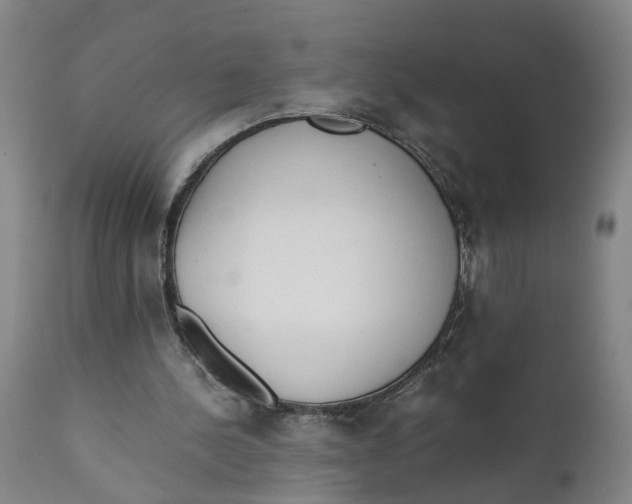 X0000111780244200908131355