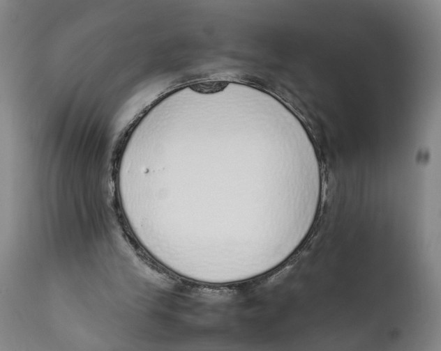 X0000111780245200908131355