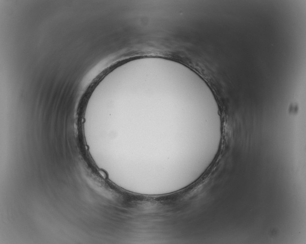 X0000111780246200908131355