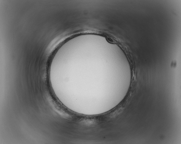 X0000111780247200908131355