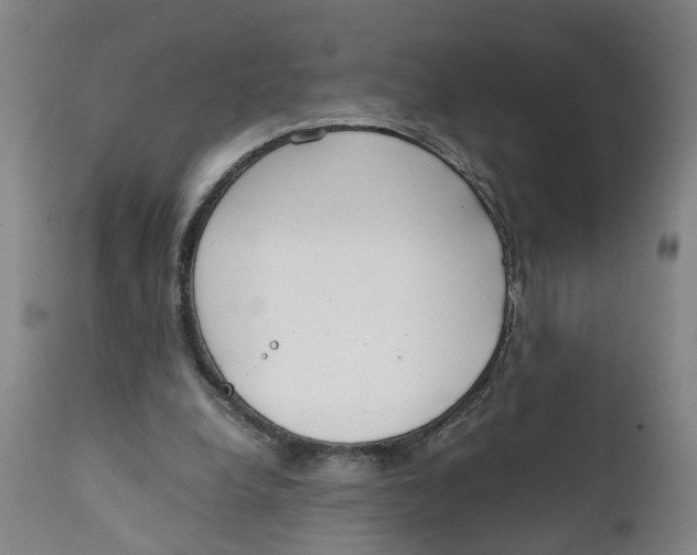 X0000111780248200908131355