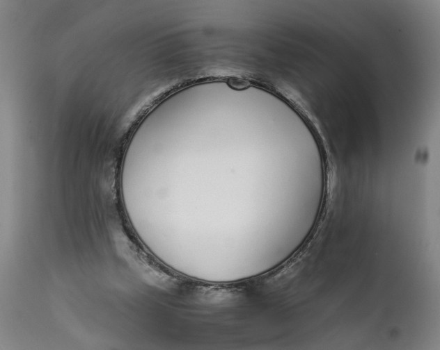 X0000111780249200908131355