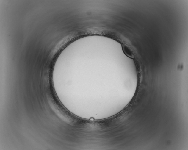 X0000111780250200908131355
