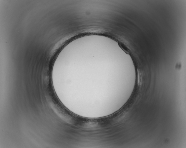 X0000111780252200908131355