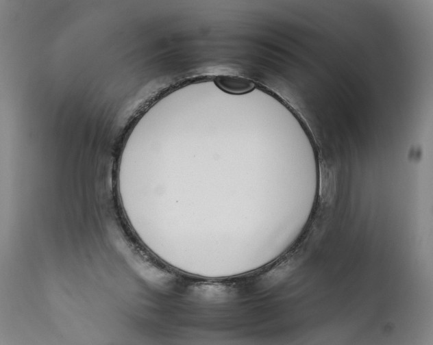 X0000111780253200908131355