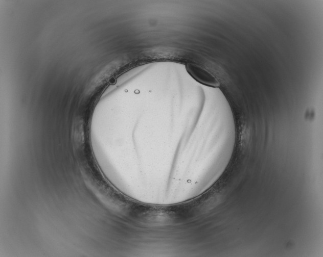 X0000111780254200908131355