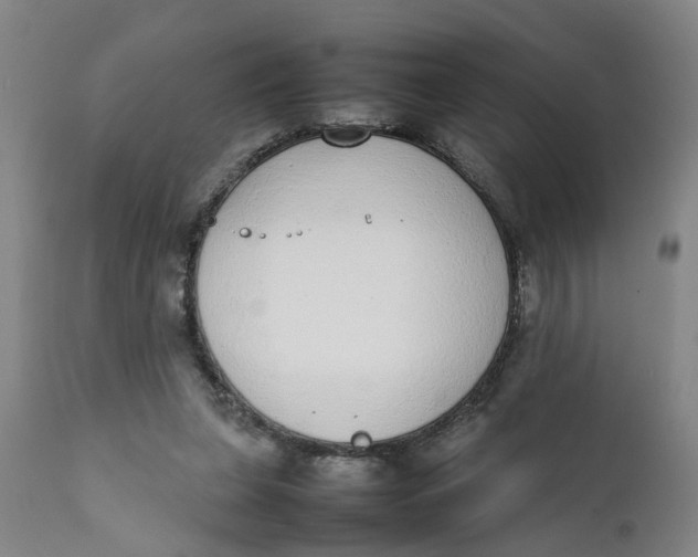 X0000111780255200908131355