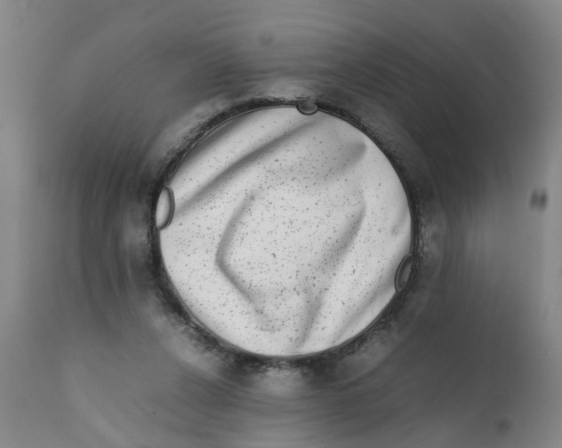 X0000111780256200908131355