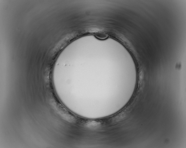 X0000111780257200908131355