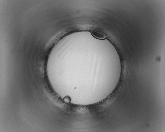 X0000111780258200908131355