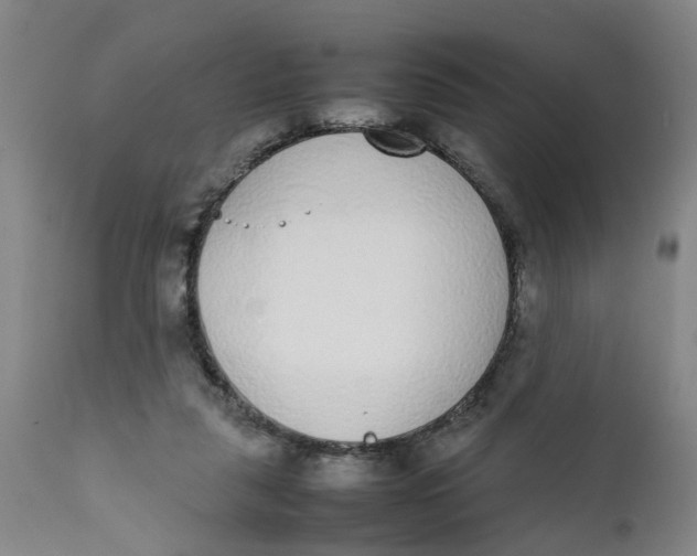 X0000111780259200908131355