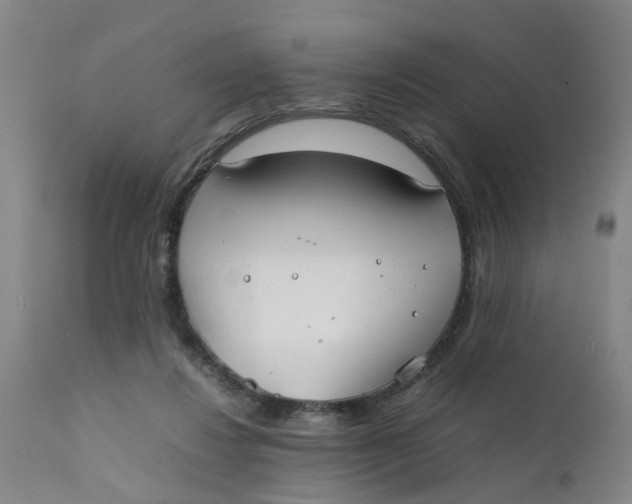 X0000111780260200908131355