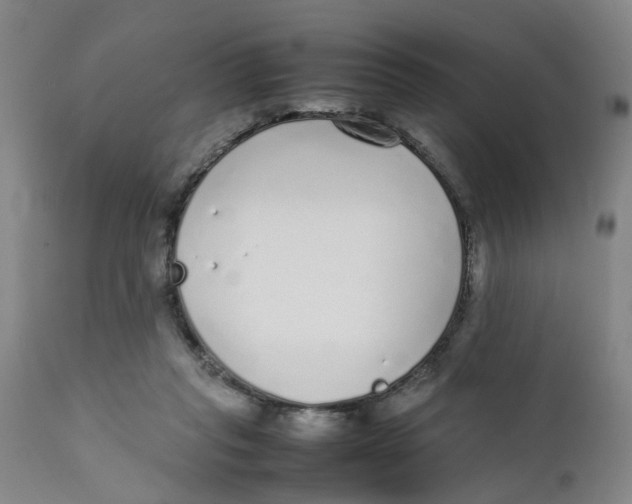 X0000111780261200908131355