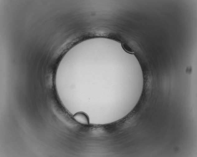 X0000111780262200908131355